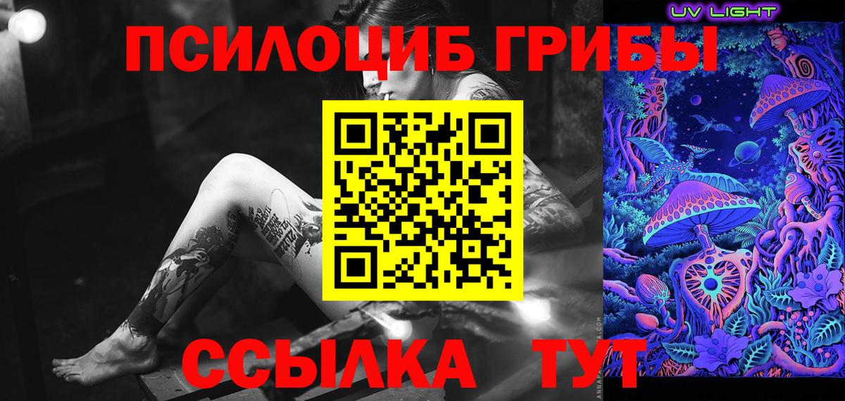 Псилоцибиновые грибы Psilocybe Лысьва